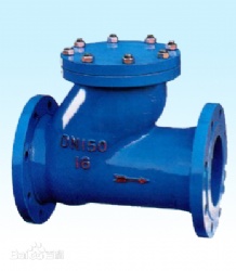 Back Pressure Valve