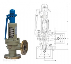 Safety Valve